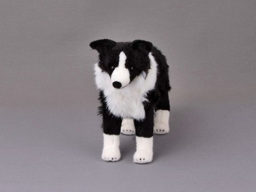 Kösen hund border collie mary - border,