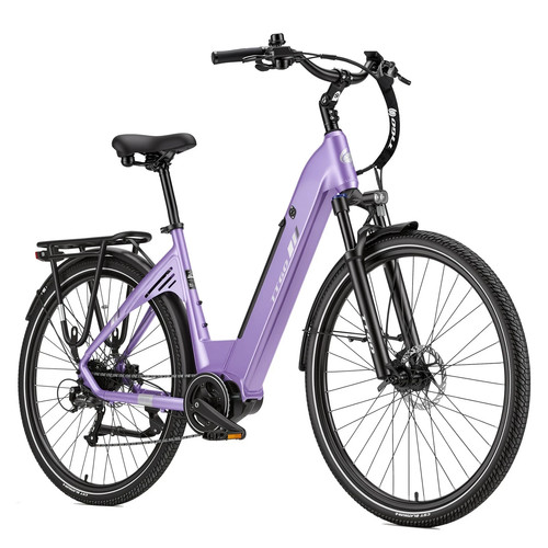 Ttgo elektrofahrrad 250w - c7,