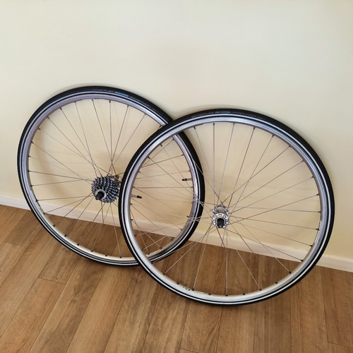 Campagnolo athena berlin - athena,