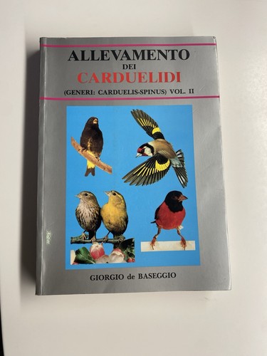 Giorgio baseggio - giorgio,