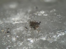 Wismut xx , Bergbau Felbertal, Mittersill, Österreich