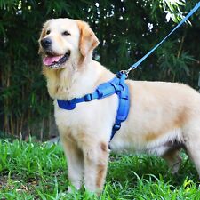 Hundegeschirr Hunde Brustgeschirr verstellbar gepolstert Nylon Anti Zug Weich L