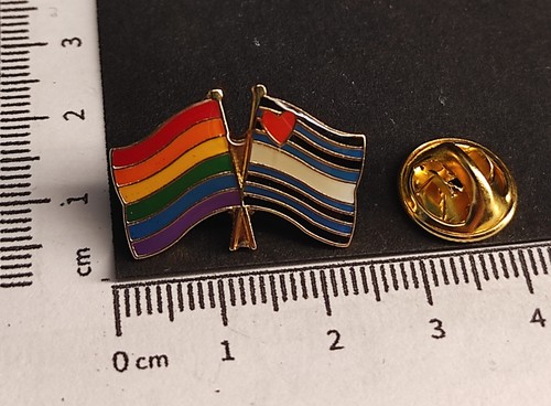 Pin anstecker lgbt pride - pin/anstecker:,