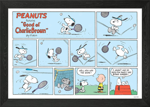 Snoopy tennis comic - tennis,