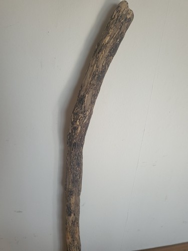 Treibholz wurzel ast brett - wurzel,