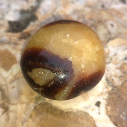 Grosse septarie madagaskar - grosse,
