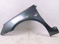 Linke Vorderseite Aue