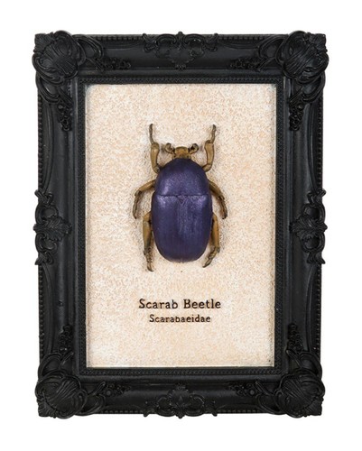 Schwarzer gothic bilderrahmen - gothic,