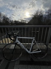 Canyon Ultimate Ultimate AL