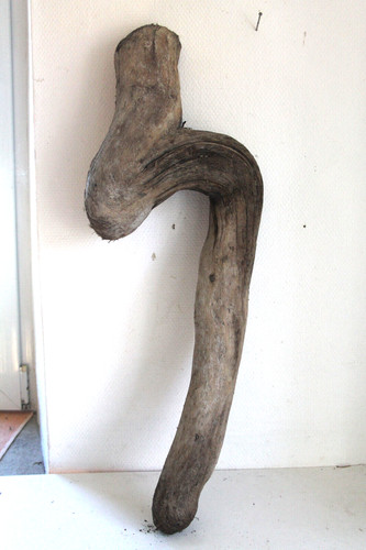 Schwemmholz treibholz - schwemmholz,