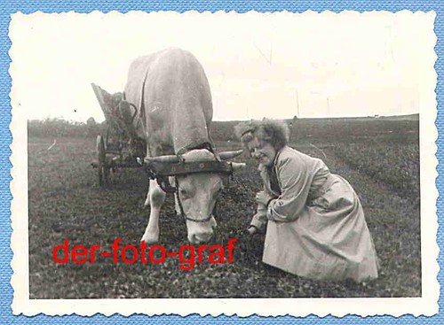 Foto alte landwirtschaft - alte,