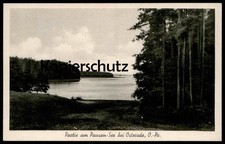 ALTE POSTKARTE OSTERODE PAUSEN-SEE OSTRODA OSTPREUSSEN Ostpreußen Ermland-Masure