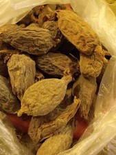 Aligator Pepper, neu