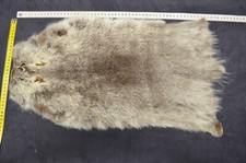 Nutria Felle LARP Mittelalter