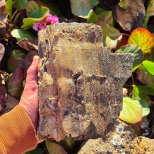 💎Video🌈Top selten XXL