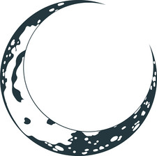 XXL 18X18 Car Decal Snake