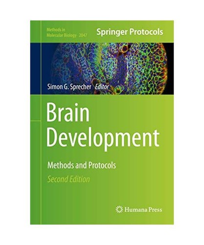 Brain development methods - methods, and