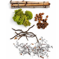 Natur Deko Set DIY