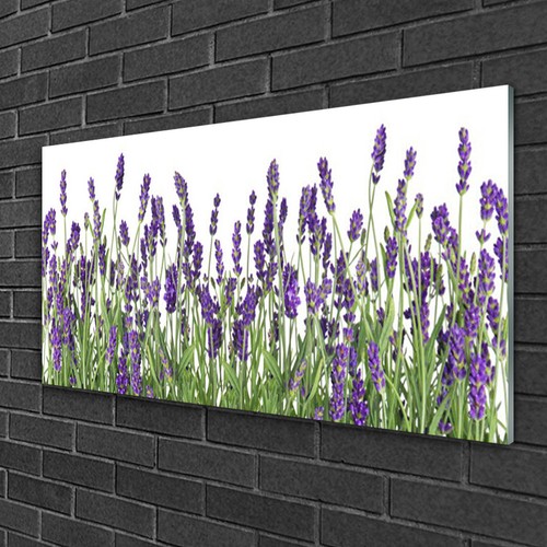 Wandbilder aus plexiglas - aus, plexiglas®