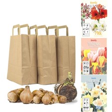 Blumenzwiebel Sets in