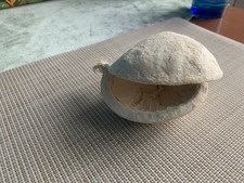 Papp Maché, Muscheldekoration, Muschel, Beachdeko, Badezimmerdeko