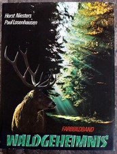 Waldgeheimnis. NIESTERS H. und