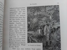 GIESENHAGEN 1902 JAVA SUMATRA