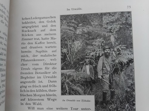 Giesenhagen 1902 java sumatra - giesenhagen,