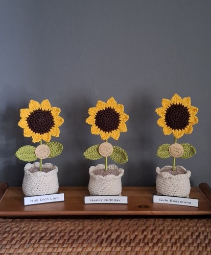 Sonnenblume topf - sonnenblume,