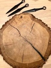 Baumstamm Holz Eichenscheibe