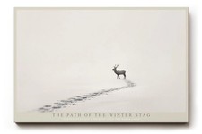 Paul Sinus Wandbild The Path