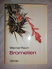 Bromelien für zimmer - zimmer, und