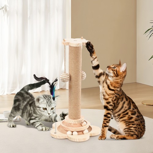 Katzenspielzeug 1 - katzenspielzeug, in