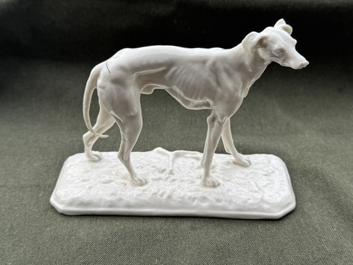 Windhund aus der