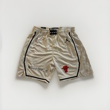 Chicago Bulls Retro Basketball