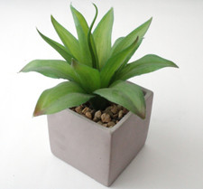 kleine künstliche Pflanze in Topf  10 x 10 cm mit Beton-Optik Bromelie Catopsis