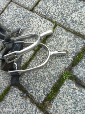 Dressursporen Sporen mit Rädchen