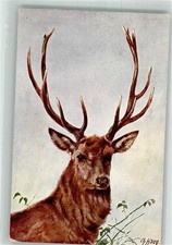 38155165 - sign. Haug Ch