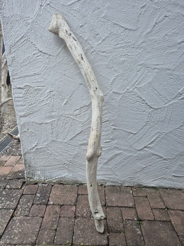 127cm xxl treibholz - 127cm,