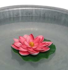 Seerose für Schwimmschale