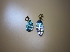 Abalone- Paua Perlmutt