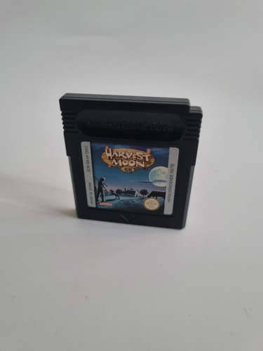 Harvest moon nintendo - harvest, boy