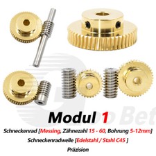 Modul 1 Schneckenrad Messing