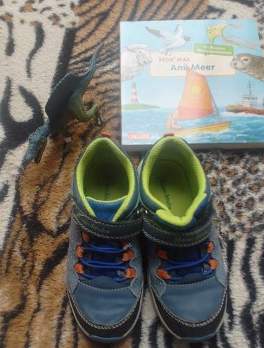 Jungs schuh dino buch - +, +