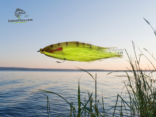 Baitfish streamer - 🎣,