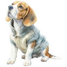 2x Sticker Beagle Car Sticker