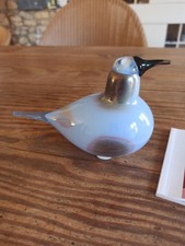  Iittala OIVA TOIKKA Art Glasvogel  Sky Curlev... Mit Box