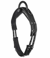 Longiergurt mit handgriff - longiergurt,