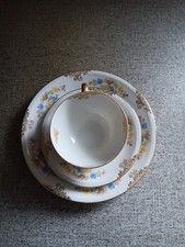 Porzellan-Set Moschendorf