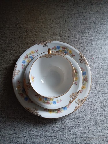 Porzellan set moschendorf - porzellan-set,